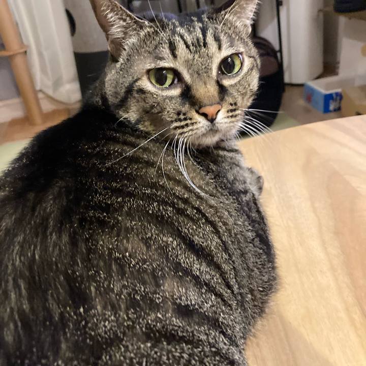 556ef21b e6cd 4484 9f1b 8d0645bbdb7e 1697807077244