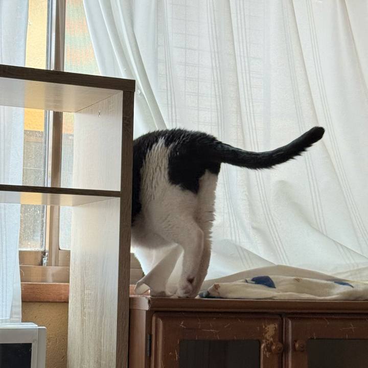 556ef5bc 76c9 4920 8c64 d2d153ebc82b 1751256332598