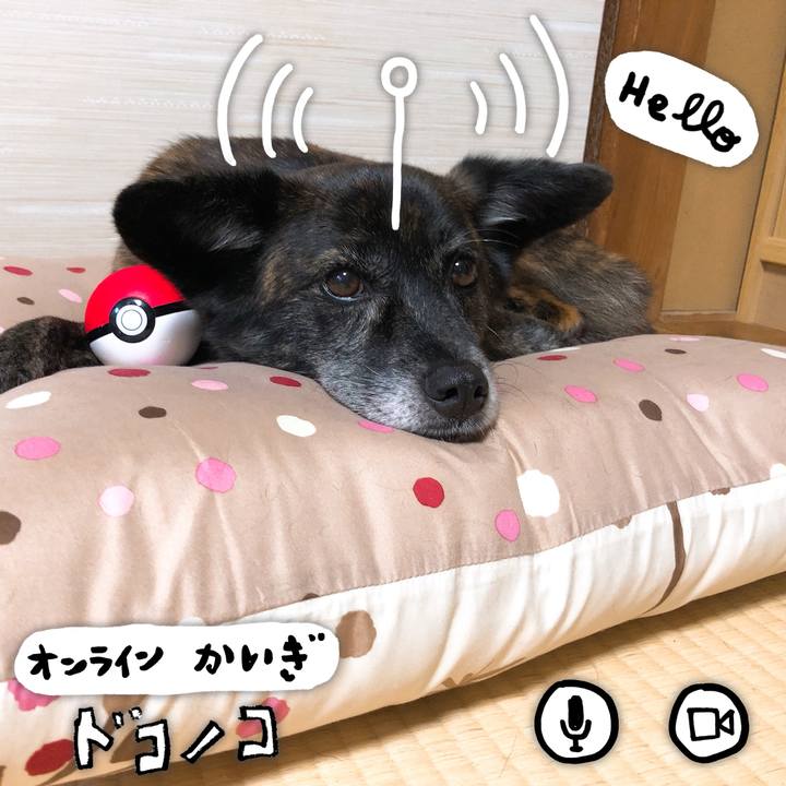 556f217d 9412 4015 9d7c 1aebad745bd2 1591954564604