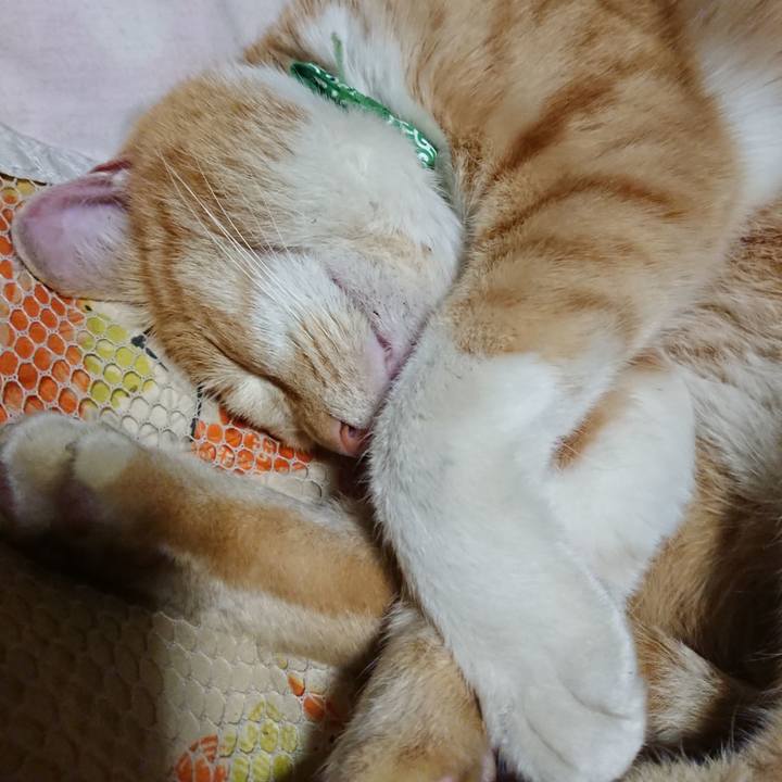 556f2b34 e9fb 4395 948e 90a920025099 1581512129621