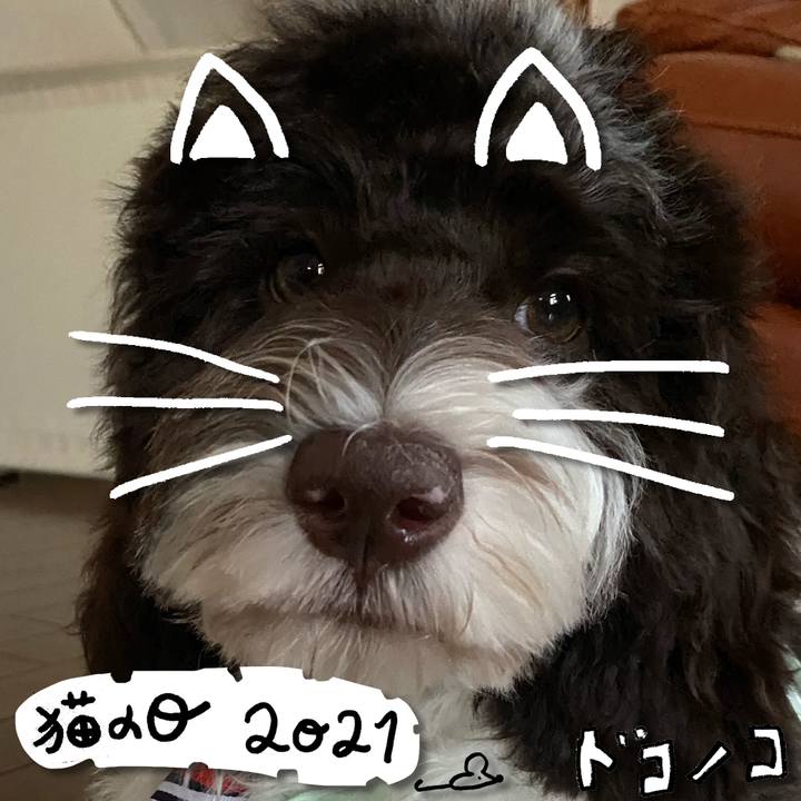 556f40ed 7d63 43ac bb39 1debc8731841 1613987077106