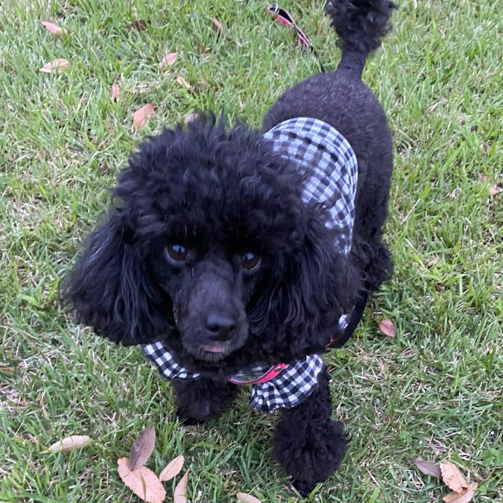 556f5a91 51ae 4322 81fe 3a34df8e3158 1631861144437