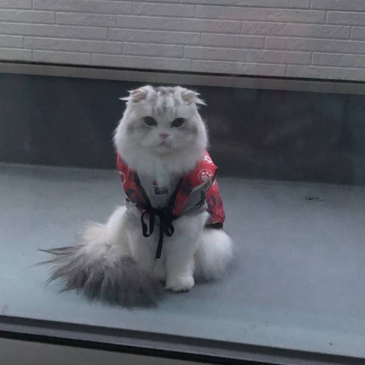 556f7ba5 311b 4355 9b0d b9222abf62d9 1669757276327