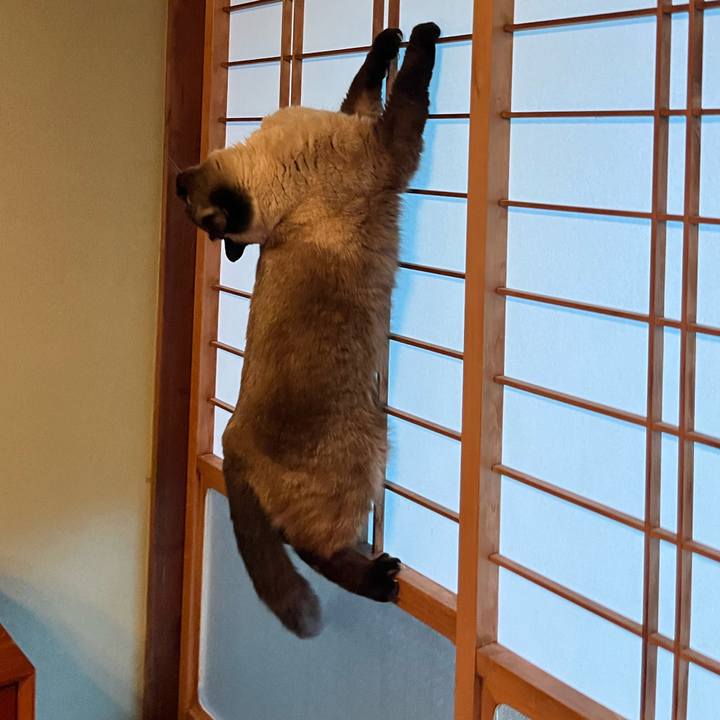 556f839e 4986 4f5c a19f c25af4b0e49b 1716766905954