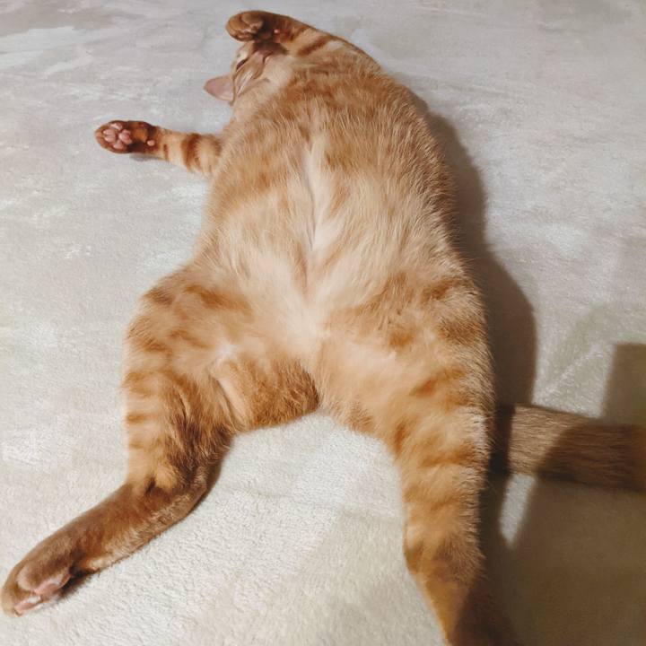 556f87a1 786d 4d70 add3 bb39b09a218e 1625137525089