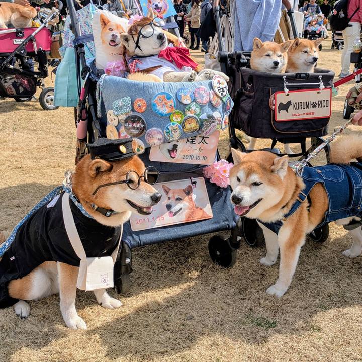 556fe400 6af6 4998 b5ab cdf91fe1473d 1772518597445