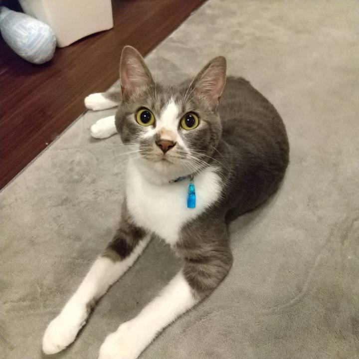 5570038d 22b4 4526 a56f 7fd0c5536a90 1596114642165