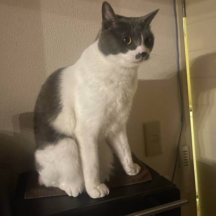 5570194d fb18 44fa a7a9 d5d415e1f143 1673785140481