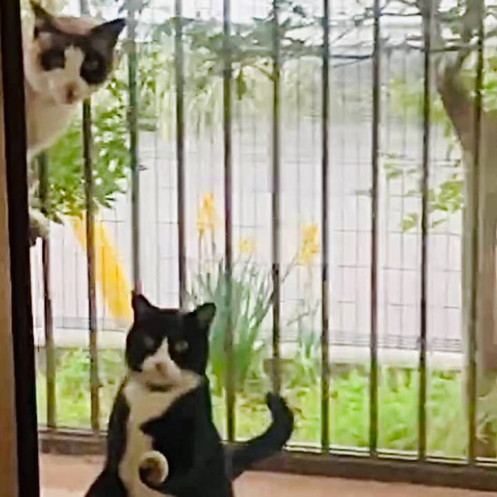 55701b56 16a6 46da b3fc 4aeb0bf6fe26 1742981273648