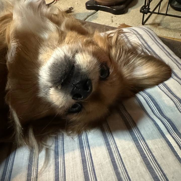 55704547 5884 4651 8dd7 3edb4050b135 1736803335032