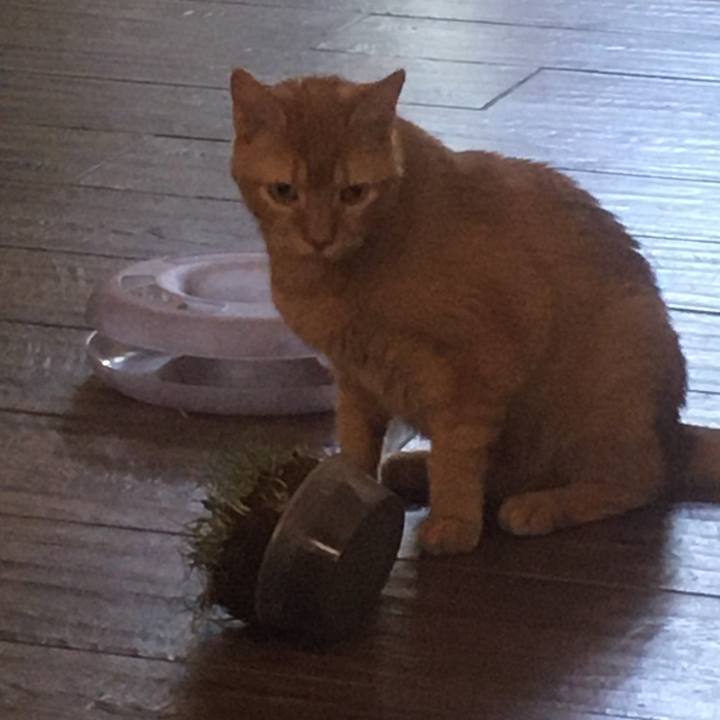 5570a49f 6f71 4266 82fb bc0cbf4c0422 1660348011041