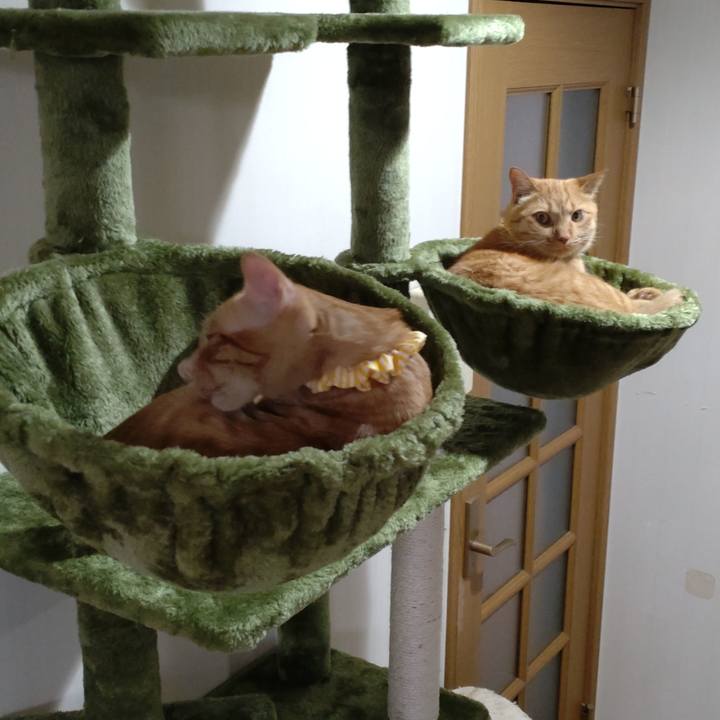 5570b2bb db54 44c8 bf64 4e554d81e6cf 1676541496279