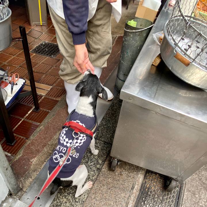 5570c376 48fe 4588 a5c5 cca6313ab4a2 1603597537962