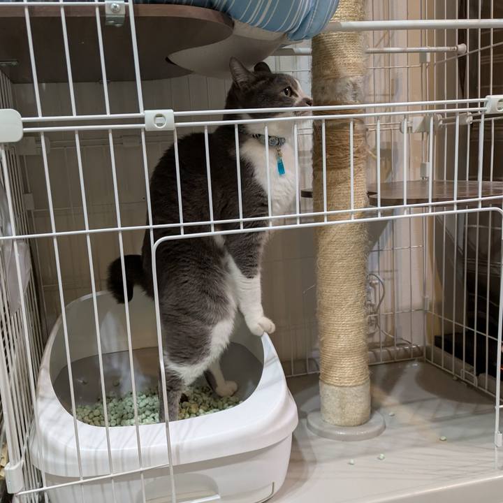 5570e513 8a2c 41af 9d24 159ca3378c87 1739525560829