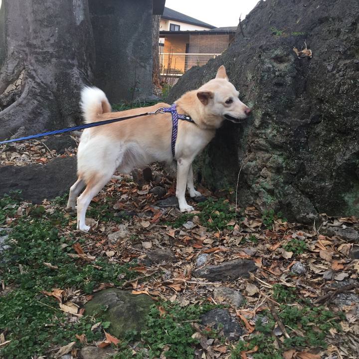 5570e608 a8a2 470b bf59 ef133eb9a08c 1516354292017