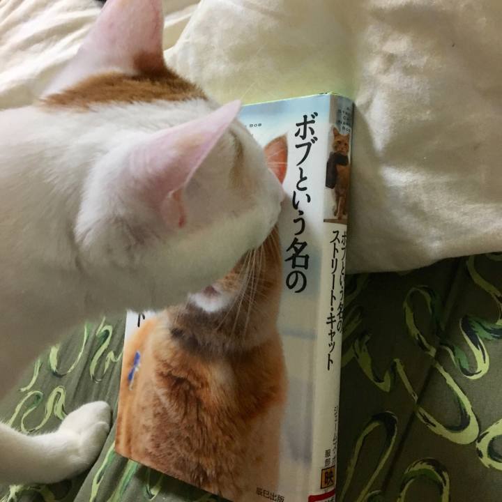 55711e9b c99e 4509 9378 c85c1d1cb5ce 1524392826672