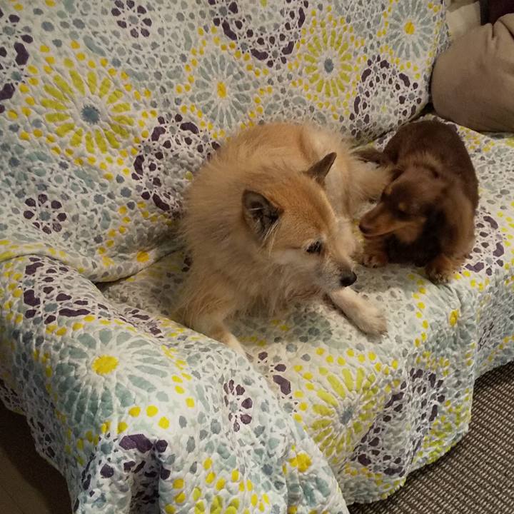 5571777a 7a62 4791 9462 c92a667d67c7 1549095786426