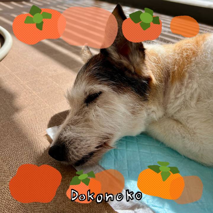 55717cbf 4a66 4d60 b235 6a6bea757b0f 1761621655083