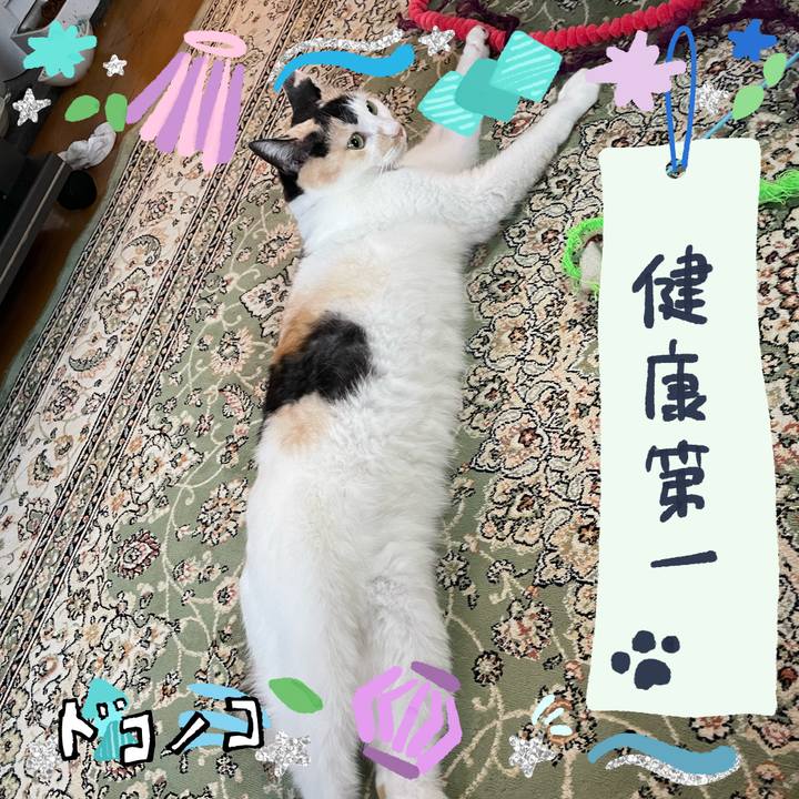 5571acf5 450f 4fa5 9f9a 7f74d31b224c 1721217419046