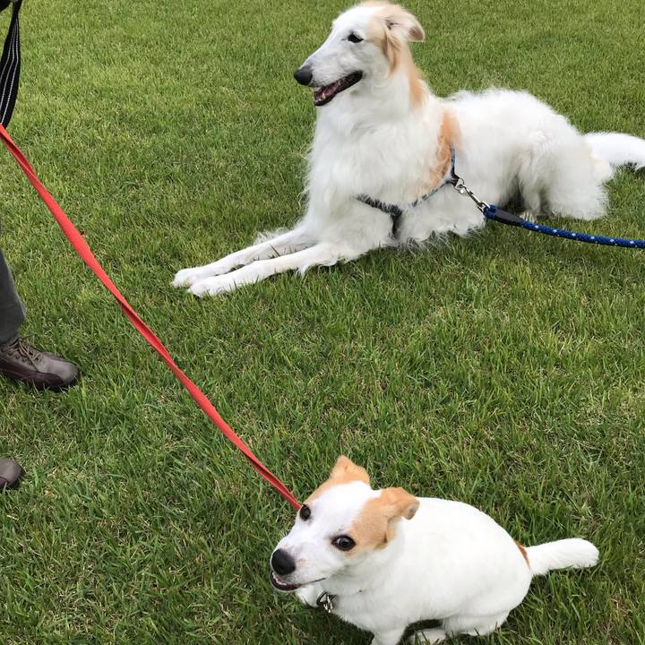 5571dcb7 0d53 442f 8e67 9da6f7ec80e0 1559030185170