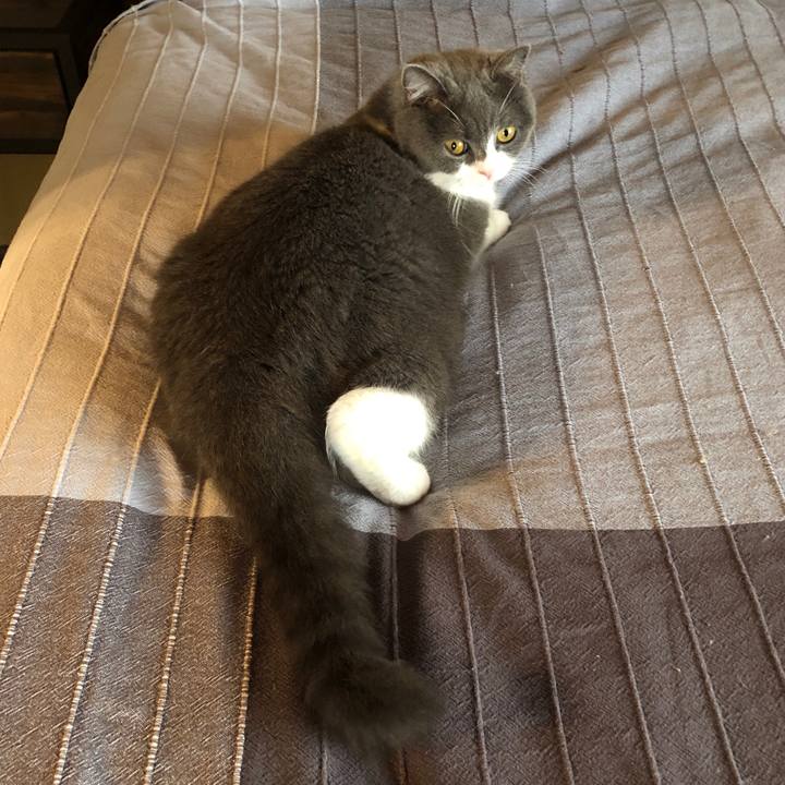 55720b92 b7a5 473b 91d0 8b2a41eb7c7b 1563150266234