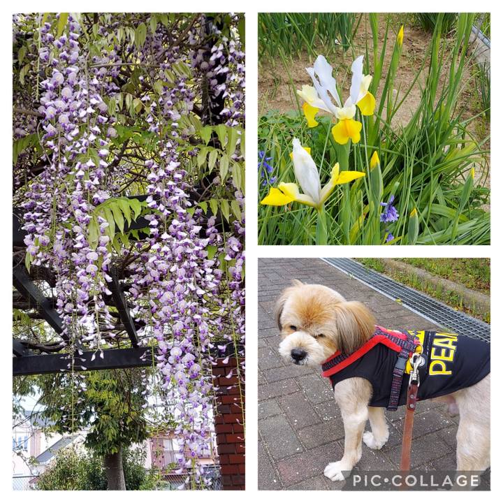 557212df 216b 4fbb 9bcd 7302f598c692 1650242361289