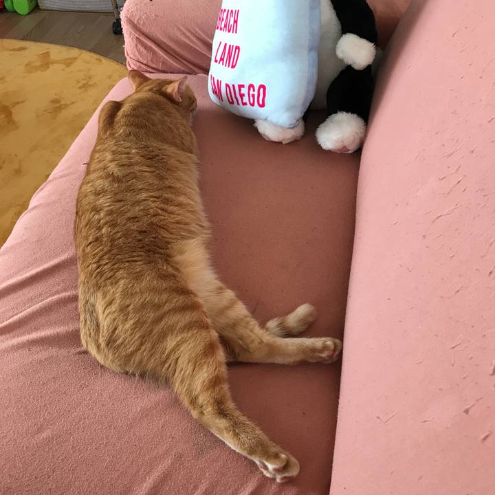 55722246 90ca 4157 bb04 48da52cc8210 1528070600128