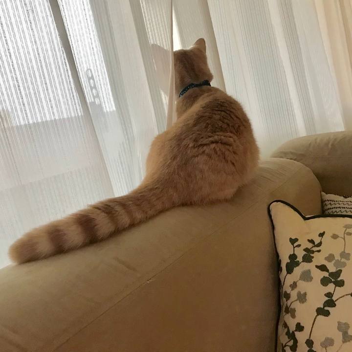 55722fa1 ba99 4528 a810 0314d16e5ea0 1520462063629