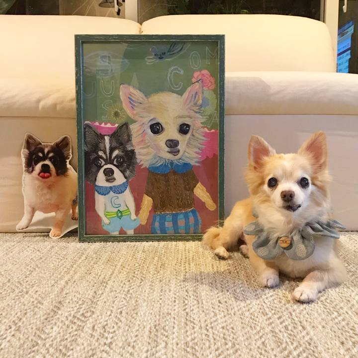 557259bc 8521 4134 ae4a 35ba7bc34dda 1590769371918