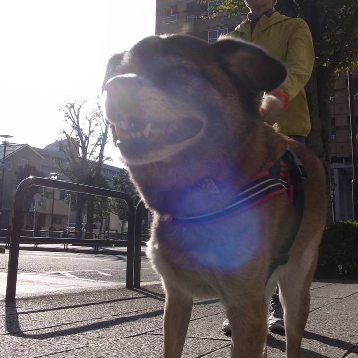 55727fab d5d9 4455 a749 c6c6500ebcdb 1593080261927