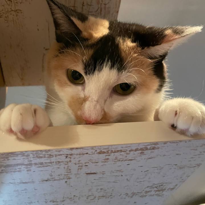 5572b30d 099c 4452 85b4 83f46e2316c0 1689248363873