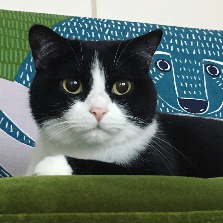 5572bb55 e75e 446e b0e2 edfedf563010 1660337296791