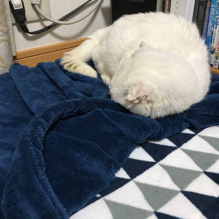 5572f243 5022 45b7 a09b eb3df862e685 1537630979916