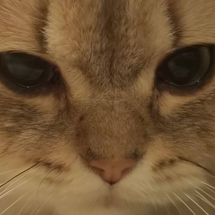 5572fdaa 8834 4384 960c e2313e23362e 1593606954950