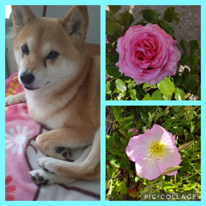 5572ffa4 6784 4799 8554 22c57f1d9f92 1745890705807