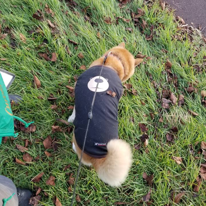 557317b4 e093 457a b6dd 48f1977f0c1e 1730357394960