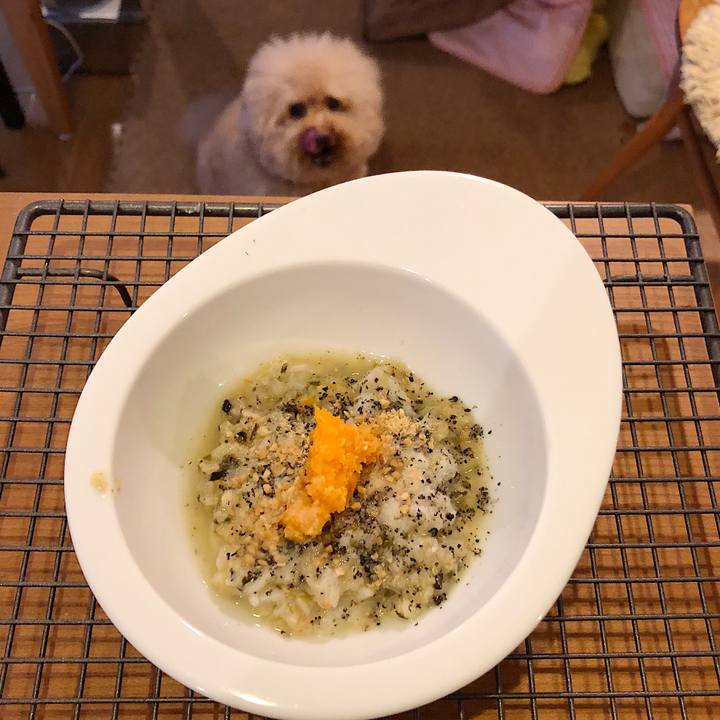 55733474 5d9b 41d0 ad36 fd6fe5f0ed58 1535361920114