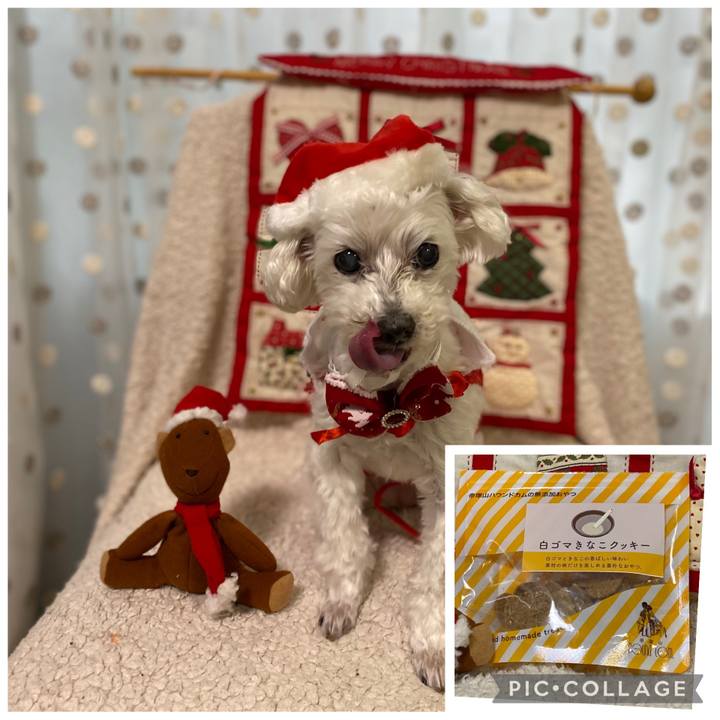 55736c9d ee6f 4c1b 8472 c00cd9ab257e 1766668513123