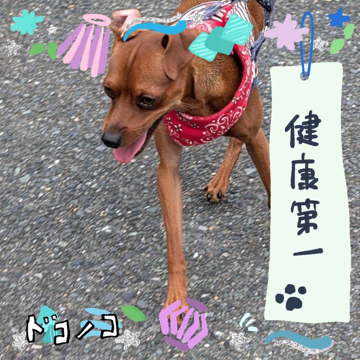 5573b1b8 dc7d 4190 81b9 c47d17be2b75 1721288243722