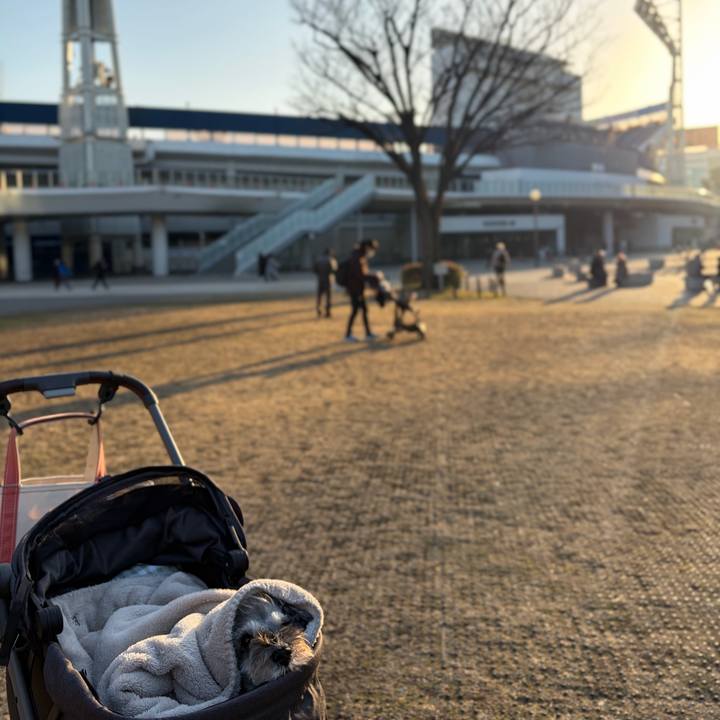 5573c384 f976 4006 946f 587754302164 1768643185700