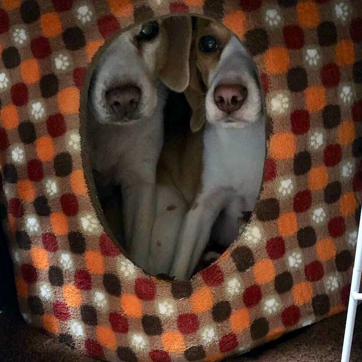 5573cfb6 9831 4067 8ae1 10828affacfc 1542584423694