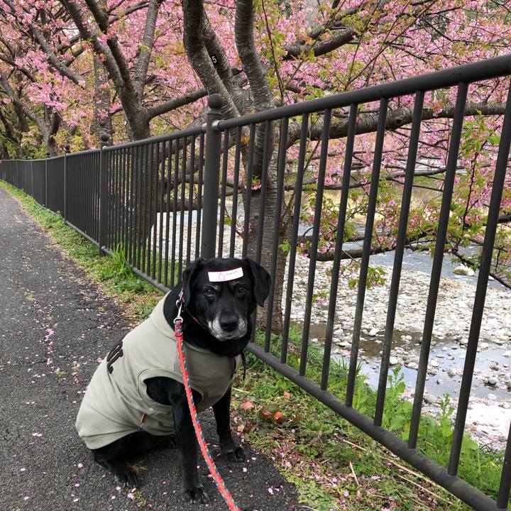 5573e463 edeb 4e06 8adc 0458f622c08c 1614130883481