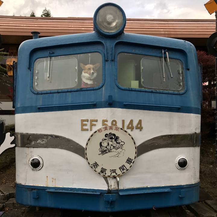 5573ee2f 3ba6 48b3 be19 7d906860841d 1509807177981