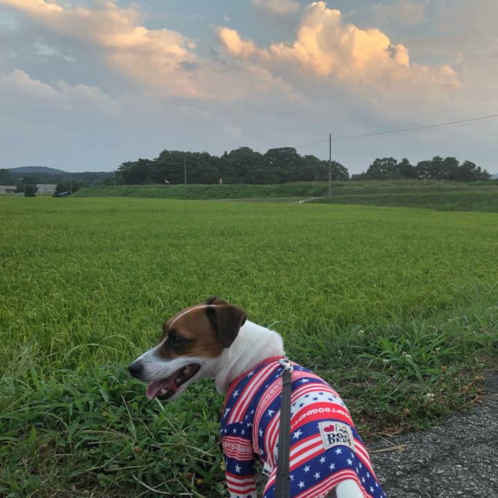 55744cf8 a4d9 4841 8018 41d63f41dcf0 1566128415520