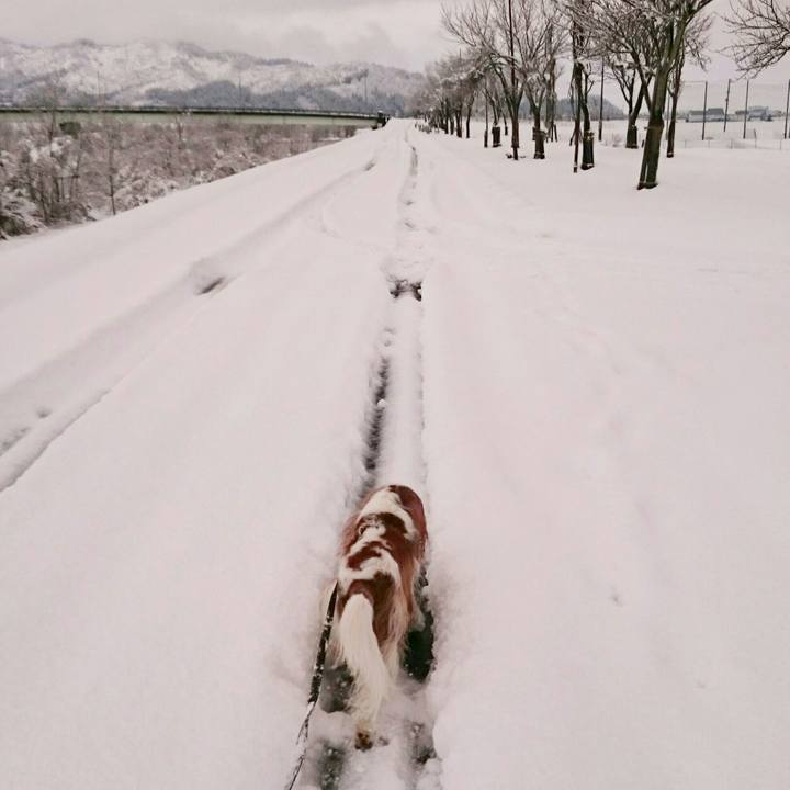 5574616f 68e5 4f78 a046 fe21b210c2bd 1554242712503