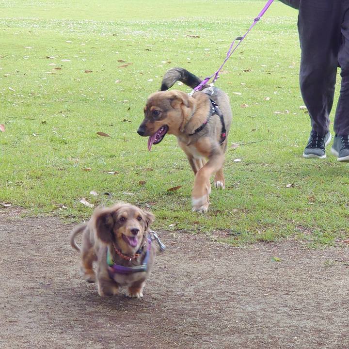 55747798 9311 41bf a76e 274d5870621a 1686354192786