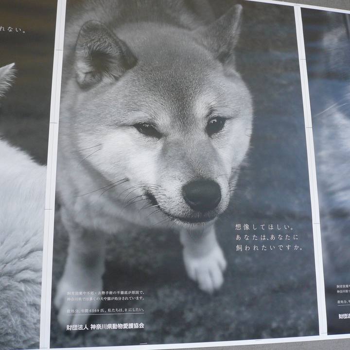 55749490 537d 4b2a 860f e2853b900cdd 1624500275953