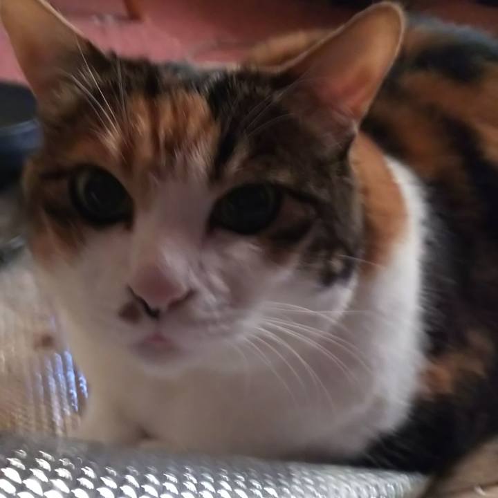 557499bd 6660 4871 a3cc f65a01054411 1565214502270