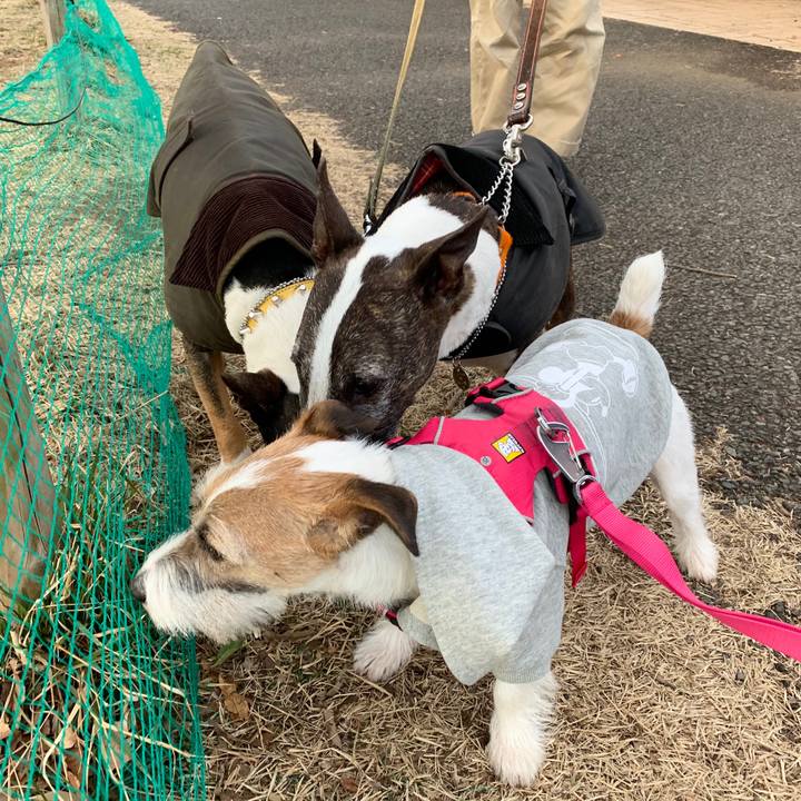 5574ac66 bf66 4e66 8cd6 c37f4cd03b86 1582366163436