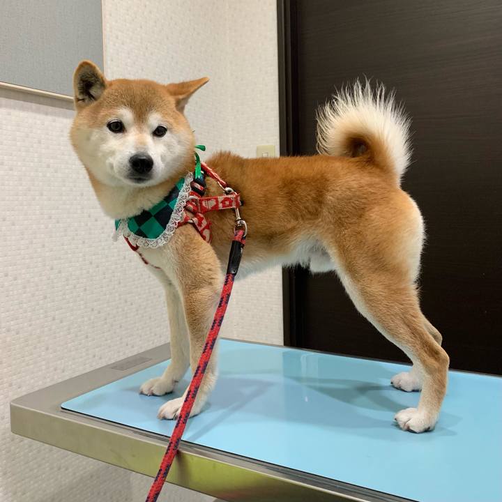 5574ce67 9857 4f64 ad4c b9784d6c5328 1618475636778